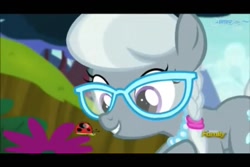 Size: 960x640 | Tagged: safe, screencap, character:silver spoon, episode:bloom and gloom, g4, my little pony: friendship is magic, ladybug, solo