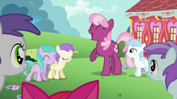 Size: 1920x1080 | Tagged: safe, screencap, character:alula, character:apple bloom, character:aura, character:cheerilee, character:cotton cloudy, character:liza doolots, character:petunia, character:pluto, character:tootsie flute, character:tornado bolt, episode:the cutie pox, g4, my little pony: friendship is magic