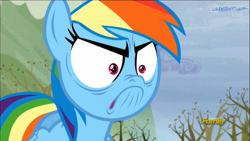 Size: 1366x768 | Tagged: safe, screencap, character:rainbow dash, episode:tanks for the memories, g4, my little pony: friendship is magic, >:c, discovery family logo, do i look angry, faec, rage, solo