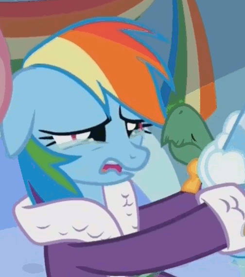Size: 504x570 | Tagged: safe, screencap, character:rainbow dash, episode:tanks for the memories, g4, my little pony: friendship is magic, animated, bathrobe, blinking, clothing, crying, cute, dashabetes, floppy ears, frown, loop, open mouth, robe, sad, sadorable