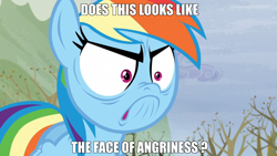 Size: 1920x1080 | Tagged: safe, artist:jyroman53, screencap, character:rainbow dash, episode:tanks for the memories, g4, my little pony: friendship is magic, angry, do i look angry, image macro, meme