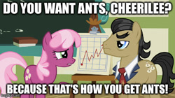 Size: 463x260 | Tagged: safe, screencap, character:cheerilee, character:filthy rich, episode:family appreciation day, g4, my little pony: friendship is magic, ants, archer (show), danger zone, malory archer, phrasing, quote