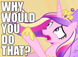 Size: 850x625 | Tagged: safe, screencap, character:princess cadance, episode:three's a crowd, g4, my little pony: friendship is magic, caption, d:, disgusted, frown, horrified, image macro, meme, open mouth, pointing, raised hoof, reaction image, solo, why would you do that, wide eyes