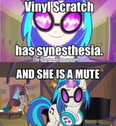 Size: 606x656 | Tagged: safe, screencap, character:dj pon-3, character:octavia melody, character:vinyl scratch, episode:music to my ears, episode:slice of life, equestria girls:rainbow rocks, g4, my little pony: friendship is magic, my little pony:equestria girls, headcanon, image macro, meme, mute, mute vinyl, synesthesia, vinyl and octavia's home