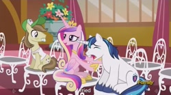 Size: 1278x711 | Tagged: safe, screencap, character:hayseed turnip truck, character:princess cadance, character:shining armor, episode:slice of life, g4, my little pony: friendship is magic, meme, youtube caption