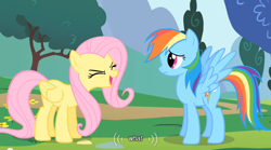 Size: 640x355 | Tagged: safe, screencap, character:fluttershy, character:rainbow dash, eyes closed, frown, open mouth, smiling, spread wings, wat, wings, youtube caption