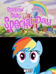 Size: 926x1229 | Tagged: safe, screencap, character:rainbow dash, episode:rainbow dash's special day, g3, image macro, meme, purple text, solo