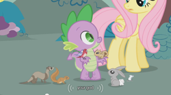 Size: 640x355 | Tagged: safe, screencap, character:fluttershy, character:spike, species:bird, species:rabbit, episode:dragonshy, g4, my little pony: friendship is magic, chipmunk, ferret, god, smiling, squirrel, youtube caption