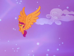 Size: 266x200 | Tagged: safe, screencap, character:scootaloo, species:pegasus, species:pony, episode:do princesses dream of magic sheep?, alicorn wings, big wings, cropped, dream, female, filly, foal, overcompensation, solo, wings