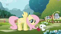 Size: 638x355 | Tagged: safe, screencap, character:angel bunny, character:fluttershy, apple, ei, hub logo, hubble, intro, opening, sharing kindness, the hub