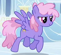 Size: 435x395 | Tagged: safe, screencap, character:rainbowshine, species:pegasus, species:pony, episode:sonic rainboom, g4, my little pony: friendship is magic, background pony, cropped, solo, trotting