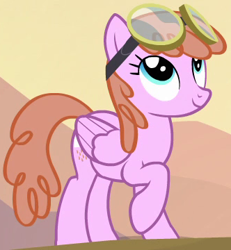 Size: 332x360 | Tagged: safe, screencap, character:jetstream, species:pegasus, species:pony, episode:hurricane fluttershy, g4, my little pony: friendship is magic, background pony, cropped, female, goggles, mare, raised hoof, solo