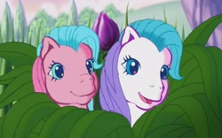 Size: 901x563 | Tagged: safe, screencap, character:heart bright, character:star flight, episode:two for the sky, g3
