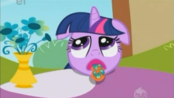 Size: 1408x796 | Tagged: safe, screencap, character:twilight sparkle, episode:the ticket master, g4, my little pony: friendship is magic, horses doing horse things, open mouth, petals, solo, tongue out, twiman