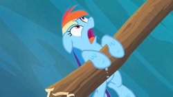 Size: 1280x720 | Tagged: safe, screencap, character:rainbow dash, episode:the mysterious mare do well, g4, my little pony: friendship is magic, damsel in distress, hang in there, looking up, open mouth, shocked, solo, wet
