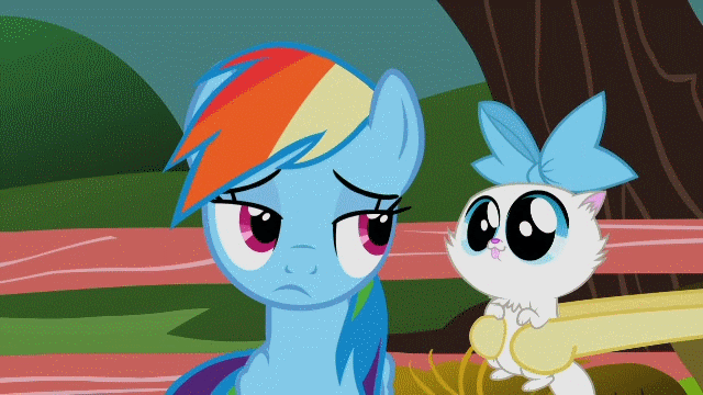 Size: 640x360 | Tagged: safe, screencap, character:fluttershy, character:rainbow dash, species:pegasus, species:pony, episode:may the best pet win, g4, my little pony: friendship is magic, animated, blep, cat, cuddly, cute, dashabetes, eyes closed, female, frown, gif, kitten, loop, mare, mitsy, nuzzling, pet, puddy tat, silly, smiling, snuggling, tongue out