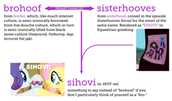 Size: 1014x596 | Tagged: safe, screencap, character:fluttershy, character:photo finish, character:rarity, episode:green isn't your color, episode:sisterhooves social, g4, my little pony: friendship is magic, hoofbump, meta, sihovi, text, written equestrian