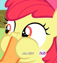 Size: 792x878 | Tagged: safe, screencap, character:apple bloom, character:scootaloo, species:pegasus, species:pony, episode:somepony to watch over me, g4, my little pony: friendship is magic, all new, cropped, hoof in mouth, hoofjack, hub logo, nose wrinkle, puffy cheeks