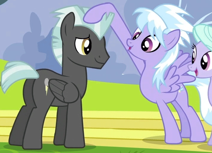 Size: 713x514 | Tagged: safe, screencap, character:cloudchaser, character:flitter, character:thunderlane, episode:hurricane fluttershy, g4, my little pony: friendship is magic, :o, animated, blinking, cropped, cute, head rub, loop, lucky bastard, open mouth, petting, smiling