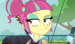 Size: 813x479 | Tagged: safe, screencap, character:sour sweet, equestria girls:friendship games, g4, my little pony:equestria girls, female, freckles, looking sideways, smirk, smug, solo