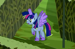 Size: 494x324 | Tagged: safe, screencap, character:derpy hooves, species:alicorn, species:pony, episode:scare master, g4, my little pony: friendship is magic, alicorn costume, clothing, costume, derpicorn, fake horn, fake wings, frown, implied twilight sparkle, nightmare night costume, open mouth, race swap, raised hoof, seems legit, solo, spread wings, toilet paper roll, toilet paper roll horn, twilight muffins, twilight sparkle costume, wig, wings