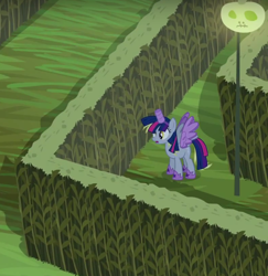 Size: 660x680 | Tagged: safe, screencap, character:derpy hooves, species:pegasus, species:pony, episode:scare master, g4, my little pony: friendship is magic, alicorn costume, clothing, corn maze, costume, derp, fake horn, fake wings, female, lamp, mare, maze, nightmare night, nightmare night costume, solo, toilet paper roll, toilet paper roll horn, twilight muffins, twilight sparkle costume, wig