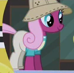 Size: 404x397 | Tagged: safe, screencap, character:happy khaki, species:earth pony, species:pony, episode:made in manehattan, g4, my little pony: friendship is magic, background pony, clothing, female, hat, mare, pants, shirt, trail blazer