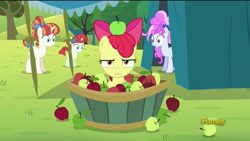 Size: 1920x1080 | Tagged: safe, screencap, character:apple bloom, character:cotton sky, character:rainberry, character:rainbow stars, episode:brotherhooves social, g4, my little pony: friendship is magic, apple