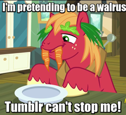 Size: 480x440 | Tagged: safe, screencap, character:big mcintosh, species:pony, episode:brotherhooves social, g4, my little pony: friendship is magic, carrot, first world anarchist, image macro, lettuce, meme, silly, silly pony, solo, tumblr, walrus