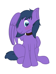 Size: 2274x2994 | Tagged: safe, artist:gyrotech, oc, oc only, oc:feather freight, species:pegasus, species:pony, 2018 community collab, derpibooru community collaboration, blushing, collar, hiding behind wing, high res, simple background, solo, transparent background