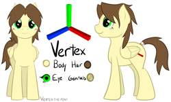 Size: 6069x3649 | Tagged: safe, artist:vertex-the-pony, oc, oc only, oc:vertex, male to female, reference sheet, tail ring, transgender