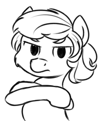 Size: 850x979 | Tagged: artist needed, safe, species:earth pony, species:pony, angry, boy, child, colt, crossed arms, disappointed, foal, frown, glare, looking at you, male, meme, reaction image, why, you had one job