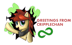 Size: 1280x800 | Tagged: artist needed, safe, oc, oc only, oc:red pone (8chan), /pone/, 4chan, 8chan, bandana, clothing, scarf