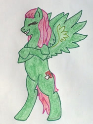Size: 480x640 | Tagged: artist needed, safe, oc, oc only, oc:maya heartstrings, species:pegasus, species:pony, dreadlocks, smiling, solo, standing, traditional art, wings