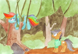 Size: 4614x3201 | Tagged: artist needed, safe, character:quibble pants, character:rainbow dash, forest, suspended, tangled up, traditional art, vine