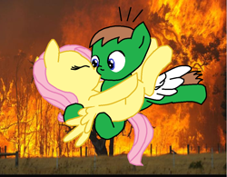 Size: 964x750 | Tagged: artist needed, safe, character:fluttershy, oc, oc:ian, self insert, species:pegasus, species:pony, canon x oc, carrying, eyes closed, female, fire, flying, forest, forest fire, hug, kissing, male, mare, ms paint, shipping, spread wings, stallion, straight, trace, wings
