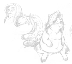 Size: 379x336 | Tagged: artist needed, safe, character:fluttershy, species:pegasus, species:pony, belly, chubby cheeks, fat, fattershy, female, mare, monochrome, obese, sitting, sketch, solo
