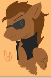 Size: 677x1017 | Tagged: artist needed, safe, oc, oc only, oc:toffee scotch, species:pegasus, species:pony, clothing, jacket, request, solo, sunglasses, toothpick