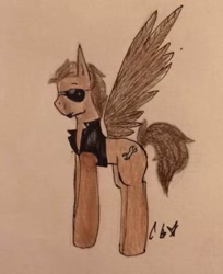 Size: 750x920 | Tagged: artist needed, safe, oc, oc only, oc:toffee scotch, species:pegasus, species:pony, solo, spread wings, traditional art, wings