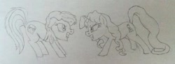 Size: 600x220 | Tagged: artist needed, safe, oc, oc only, oc:taralicious, species:pony, behaving like a cat, catfight, meghan mccarthy, meta, ponified, tara strong, traditional art, twitter