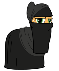 Size: 1234x1492 | Tagged: artist needed, safe, character:applejack, species:earth pony, species:pony, clothing, islam, niqab, op is a duck, op is trying to start shit, simple background, solo, transparent background