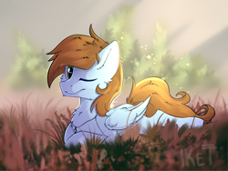 Size: 1600x1200 | Tagged: artist needed, safe, oc, oc only, oc:sorren, species:pegasus, species:pony, field, green eyes, jewelry, lying down, necklace, solo, sunlight, wings