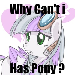Size: 600x600 | Tagged: artist needed, source needed, useless source url, safe, artist:starlightspark, oc, oc only, oc:starlight spark, species:pegasus, species:pony, colored wings, colored wingtips, frown, goggles, gritted teeth, i can has, image macro, sad, solo