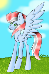 Size: 770x1154 | Tagged: artist needed, safe, base used, oc, oc only, oc:wind wing, species:pegasus, species:pony, sad and happy, solo