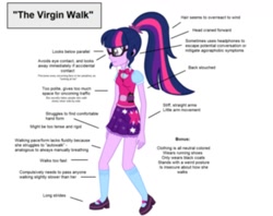 Size: 1366x1080 | Tagged: artist needed, source needed, safe, character:twilight sparkle, character:twilight sparkle (scitwi), species:eqg human, my little pony:equestria girls, blurry, clothing, female, glasses, mary janes, meme, picture taken with a potato, ponytail, shoes, skirt, socks, solo, text, virgin walk