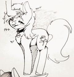 Size: 2076x2160 | Tagged: artist needed, safe, character:roseluck, species:earth pony, species:pony, behaving like a cat, blushing, chest fluff, collar, cute, ear fluff, eyes closed, female, fluffy, hand, hoof fluff, leg fluff, mare, monochrome, offscreen character, pet tag, petting, pony pet, profile, purring, rosepet, smiling, standing, tongue out, traditional art