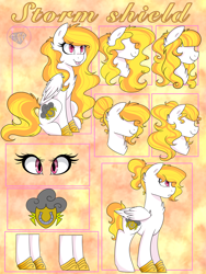 Size: 2832x3776 | Tagged: artist needed, safe, oc, oc only, oc:storm shield, species:pegasus, species:pony, horse shoes, reference sheet, solo