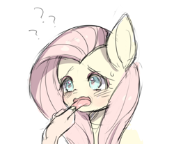 Size: 700x579 | Tagged: artist needed, safe, character:fluttershy, species:human, species:pony, blushing, bust, confused, cute, hand, portrait, question mark, simple background, sweat, sweatdrop, tongue holding, tongue out, white background