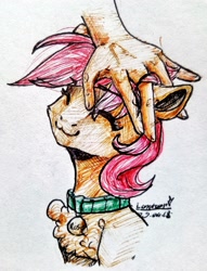 Size: 1649x2160 | Tagged: artist needed, safe, character:roseluck, species:earth pony, species:human, species:pony, behaving like a cat, chest fluff, collar, cute, eyes closed, female, fluffy, hand, mare, pet tag, petting, pony pet, rosepet, traditional art