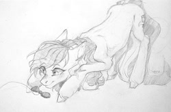 Size: 1052x691 | Tagged: artist needed, safe, character:roseluck, species:earth pony, species:pony, g4, behaving like a cat, bow, cute, eye clipping through hair, eyebrows, eyebrows visible through hair, female, fluffy, mare, pony pet, rosepet, solo, traditional art